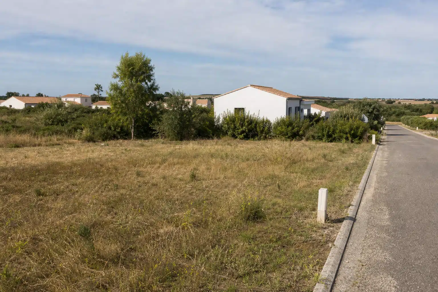 Terrain herbeux vide bordant une rue résidentielle